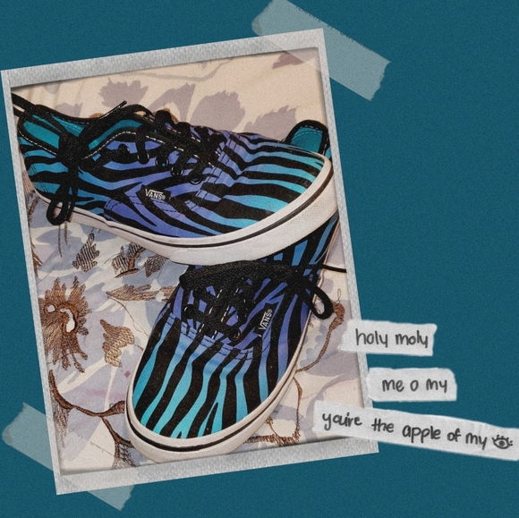 Zebra Stripe Vans - Picture 1 of 7